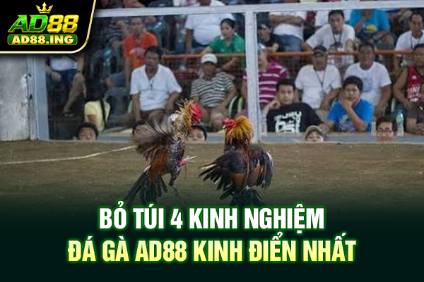 Bỏ túi 4 kinh nghiệm đá gà ad88 kinh điển nhất